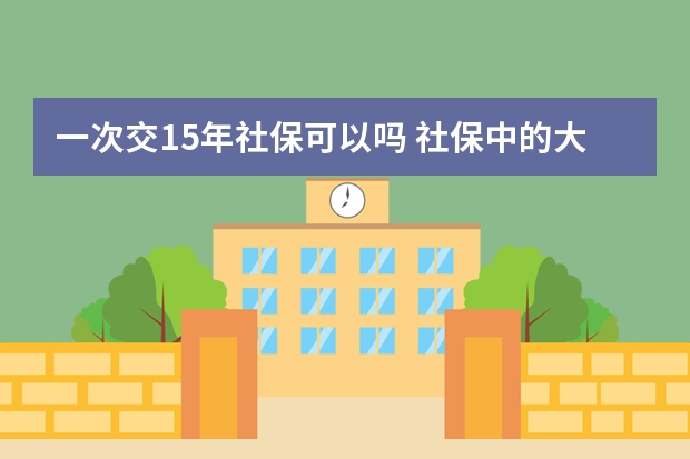 一次交15年社保可以吗 社保中的大额医疗保险怎么报