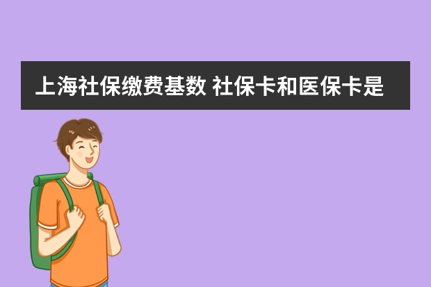 上海社保缴费基数 社保卡和医保卡是一回事吗