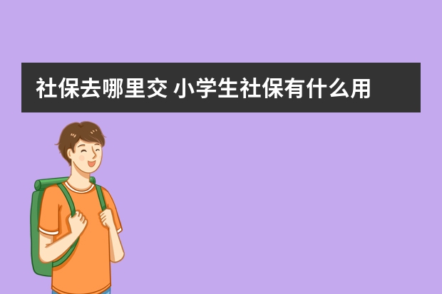 社保去哪里交 小学生社保有什么用