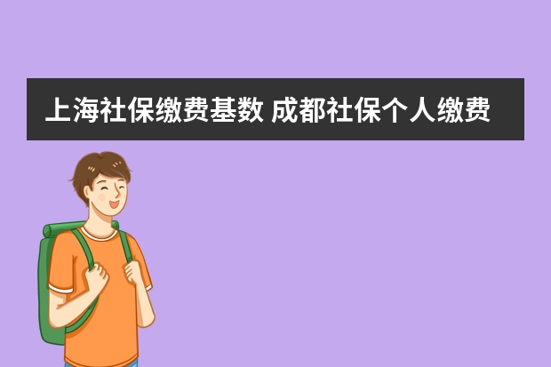 上海社保缴费基数 成都社保个人缴费标准