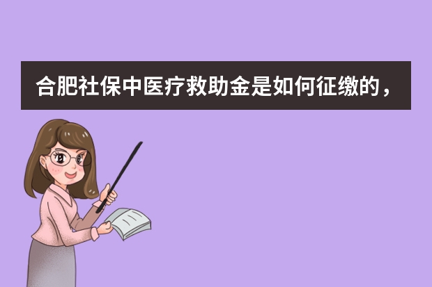 合肥社保中医疗救助金是如何征缴的，完全由单位出吗？在什么情况下可以使用？如何缴费的？