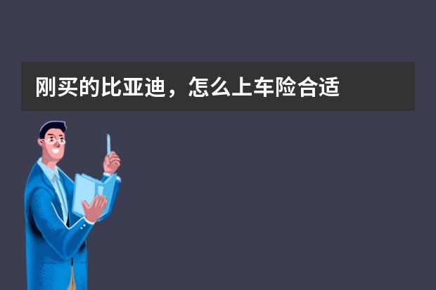 刚买的比亚迪，怎么上车险合适